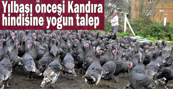 Yılbaşı öncesi Kandıra hindisine yoğun talep 